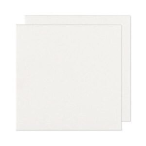 Carton sueco 70x100 1.6mm